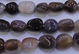 CAG2771 15.5 inches 8*12mm nuggets botswana agate beads wholesale