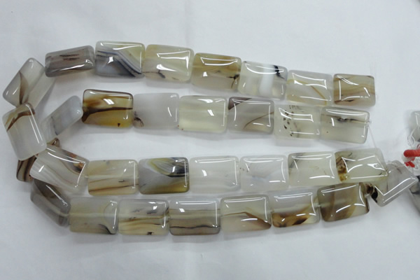 CAG3345 15.5 inches 18*25mm rectangle natural grey agate beads