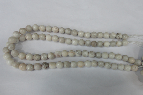 CAG3604 15.5 inches 10mm round natural crazy lace agate beads