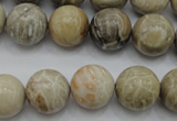 CAG3885 15.5 inches 14mm round chrysanthemum agate beads