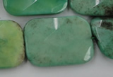 CAG3938 15.5 inches 22*30mm faceted rectangle green grass agate beads