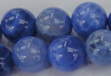 CAG4304 15.5 inches 12mm round dyed blue fire agate beads