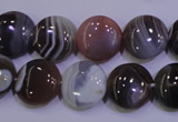 CAG4443 15.5 inches 14mm flat round botswana agate beads wholesale