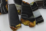 CAG5463 15.5 inches 16*26mm - 20*66mm freeform agate gemstone beads