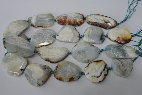 CAG5536 15.5 inches 25*30mm - 25*48mm freeform agate gemstone beads