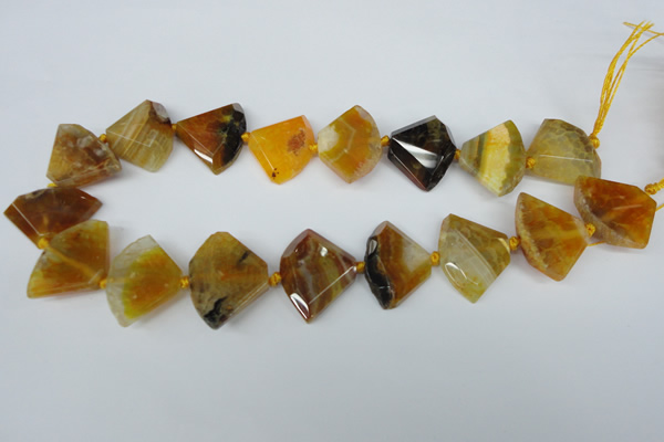 CAG5580 15 inches 20*30mm faceted triangle dragon veins agate beads