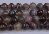 CAG5951 15.5 inches 6mm round botswana agate beads wholesale