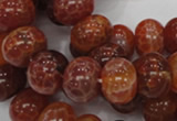 CAG617 15.5 inches 12*16mm rondelle natural fire agate beads