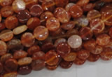 CAG629 15.5 inches 8mm coin natural fire agate beads wholesale