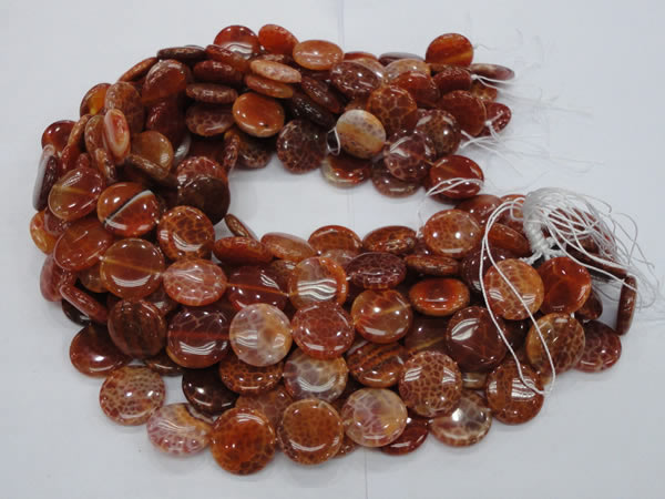 CAG632 15.5 inches 20mm coin natural fire agate beads wholesale