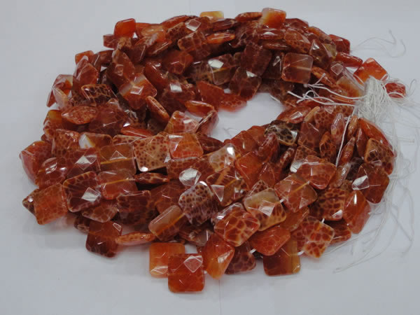 CAG649 15.5 inches 10*10mm faceted square natural fire agate beads