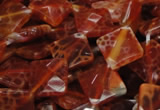 CAG655 15.5 inches 12*12mm faceted rhombic natural fire agate beads