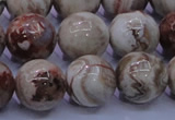 CAG6664 15.5 inches 12mm round Mexican crazy lace agate beads