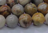 CAG6674 15.5 inches 12mm round natural crazy lace agate beads