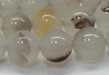 CAG6762 15 inches 10mm round Montana agate beads wholesale