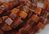 CAG686 15.5 inches 6*6mm cube natural fire agate beads wholesale