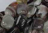 CAG737 15.5 inches 10*14mm rectangle botswana agate beads wholesale