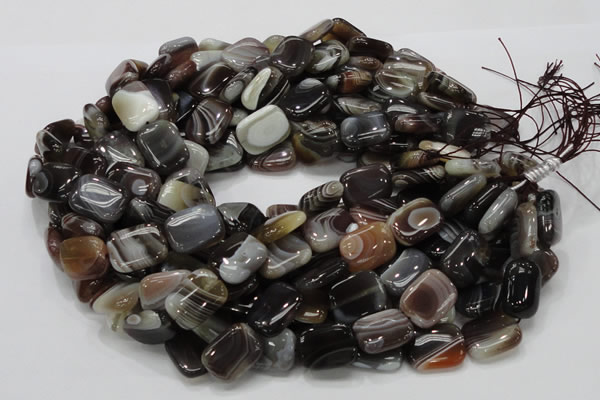 CAG739 15.5 inches 14*18mm rectangle botswana agate beads wholesale