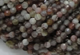 CAG742 15.5 inches 4mm faceted round botswana agate beads wholesale