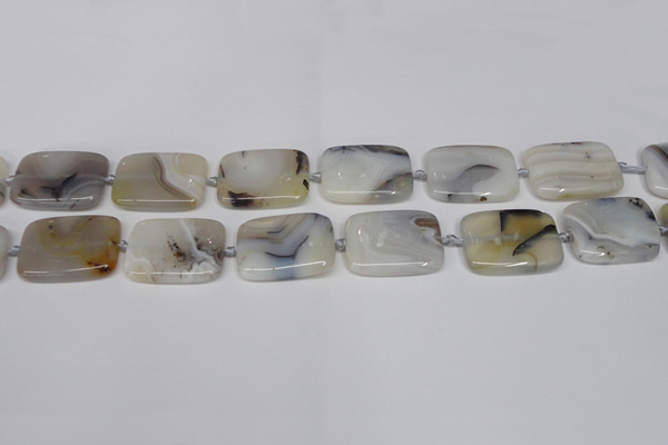 CAG7423 15.5 inches 18*25mm rectangle Montana agate beads