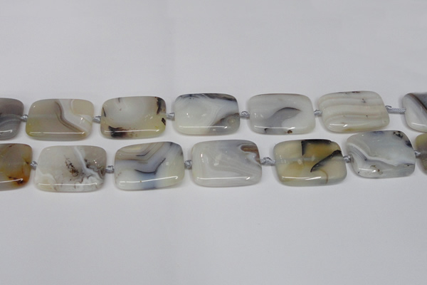 CAG7424 15.5 inches 20*30mm rectangle Montana agate beads