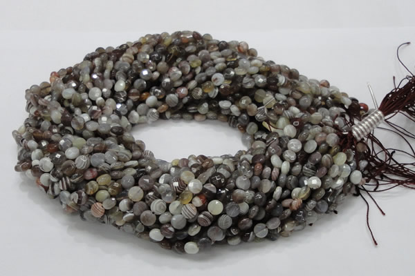 CAG749 15.5 inches 6mm faceted coin botswana agate beads wholesale