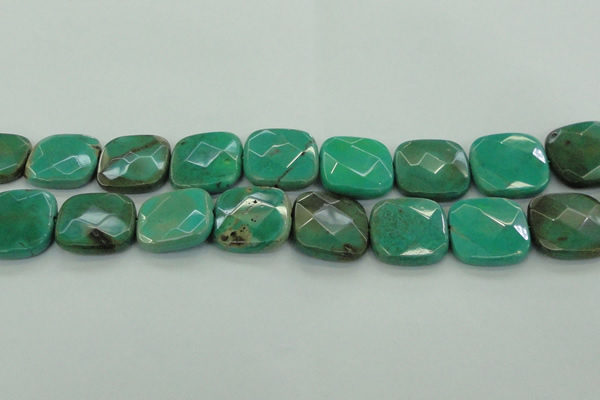 CAG7918 15.5 inches 30*30mm faceted square grass agate beads