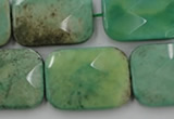 CAG7926 15.5 inches 18*25mm faceted rectangle grass agate beads