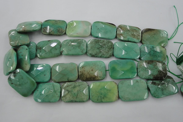 CAG7926 15.5 inches 18*25mm faceted rectangle grass agate beads