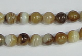 CAG937 16 inches 8mm round madagascar agate gemstone beads