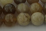 CAG9404 15.5 inches 12mm round ocean fossil agate beads wholesale