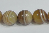 CAG941 16 inches 16mm round madagascar agate gemstone beads