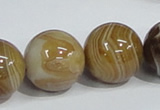 CAG943 16 inches 20mm round madagascar agate gemstone beads