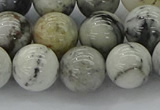 CAG9734 15.5 inches 12mm round black & white agate beads wholesale