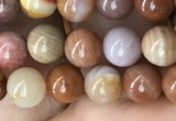 CAG9805 15.5 inches 6mm round wood agate beads wholesale