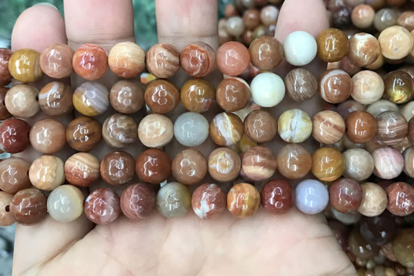 CAG9813 15.5 inches 10mm faceted round wood agate beads