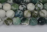 CAG9838 15.5 inches 6mm faceted round tree agate beads