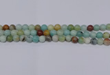 CAM03 round mixed color  8mm  natural amazonite beads wholesale