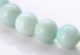 CAM19 15.5 inches 12mm natural amazonite round beads Wholesale