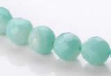 CAM28 10mm natural amazonite faceted round stone beads Wholesale