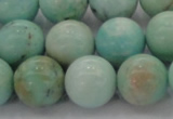 CAM325 15.5 inches 14mm round natural peru amazonite beads