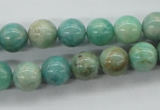 CAM524 15.5 inches 10mm round mexican amazonite gemstone beads