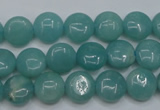 CAM914 15.5 inches 10mm flat round amazonite gemstone beads wholesale