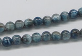 CAP05 15.5 inches 6mm round apatite gemstone beads wholesale