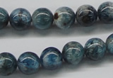 CAP06 15.5 inches 10mm round apatite gemstone beads wholesale