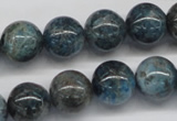 CAP07 15.5 inches 14mm round apatite gemstone beads wholesale