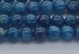 CAP361 15.5 inches 6mm round apatite gemstone beads wholesale