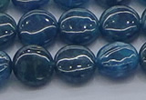 CAP381 15.5 inches 10mm flat round apatite gemstone beads