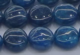 CAP382 15.5 inches 12mm flat round apatite gemstone beads