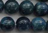 CAP403 15.5 inches 10mm round A grade natural apatite beads